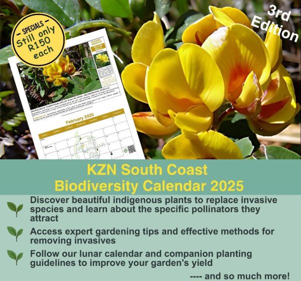 2025 Calendar KZN South Coast Biodiversity