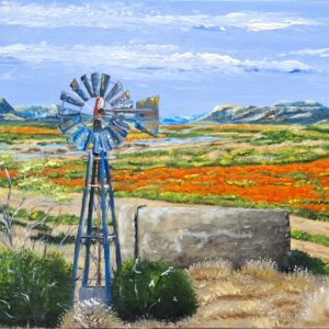 Namaqualand scene by Madz