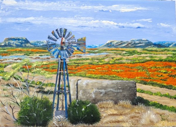 Namaqualand scene by Madz