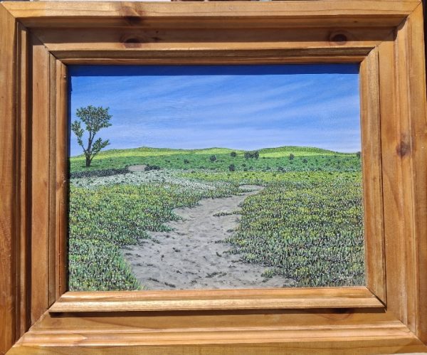 Namaqualand framed